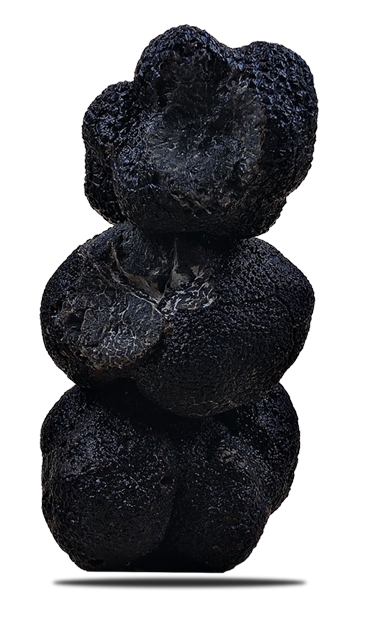 Le restaurant - La Truffe dans tous ses état - Bouc-Bel-Air - bon restaurant BOUC-BEL-AIR